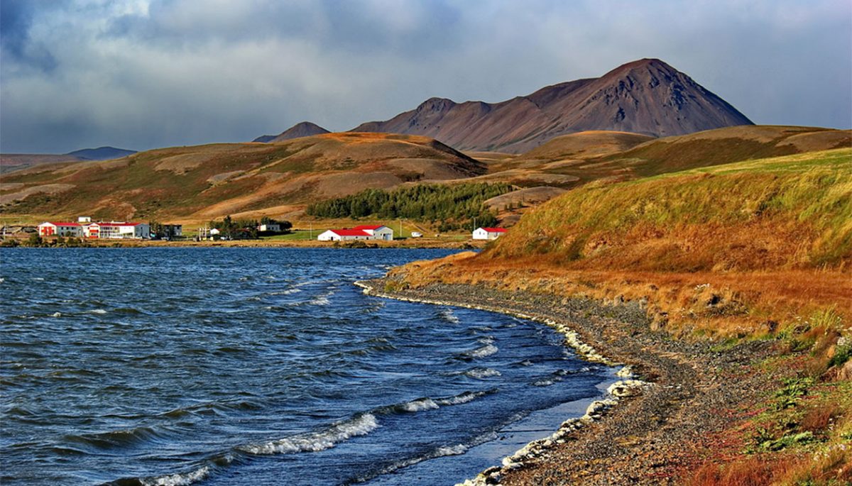 The decline in the black feather population is affecting bird life in Mývatn