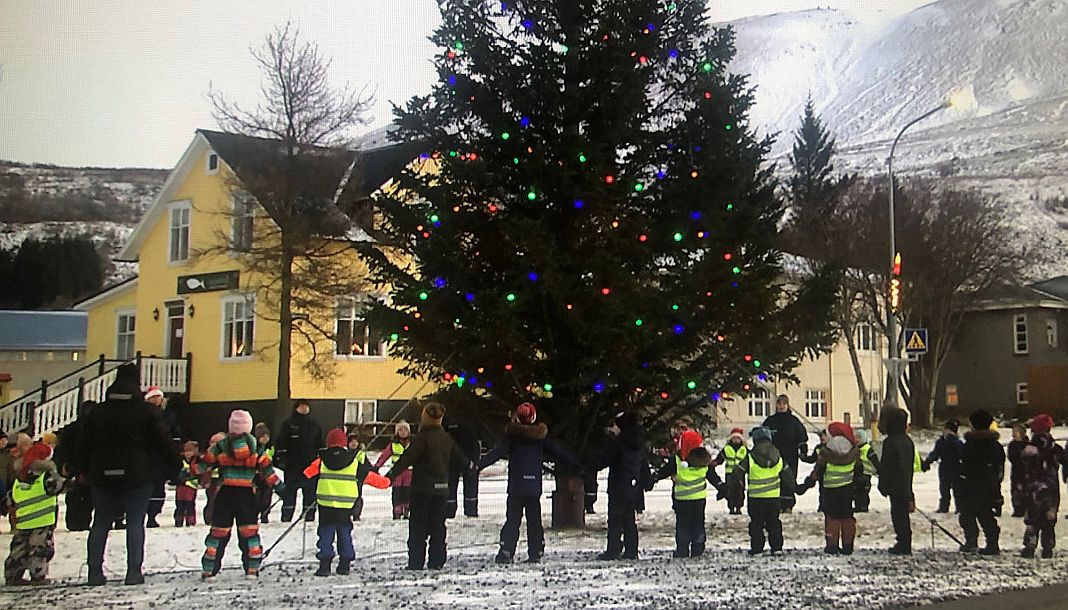 Weihnachtsbaumdemokratie in Húsavík