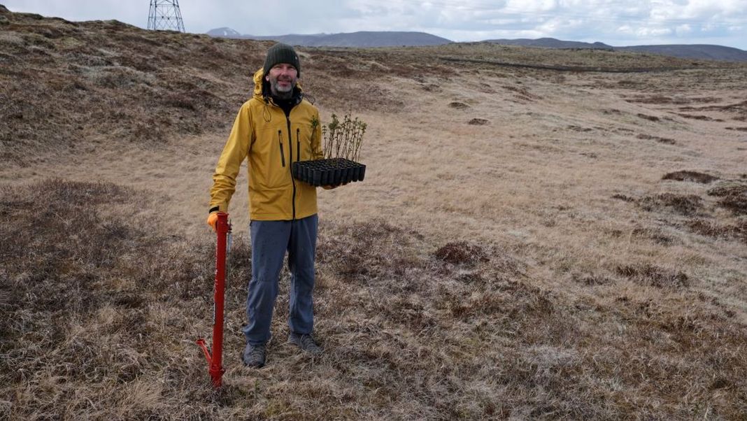 What one man can about the forestation of Iceland