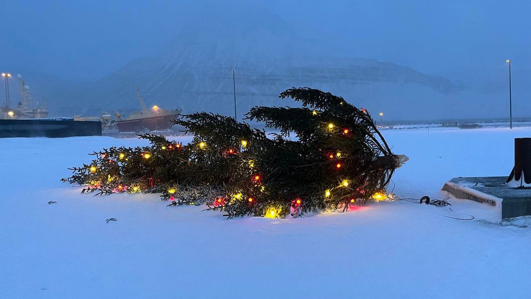 Árbol de Navidad en Reyðafjörður talado durante una tormenta