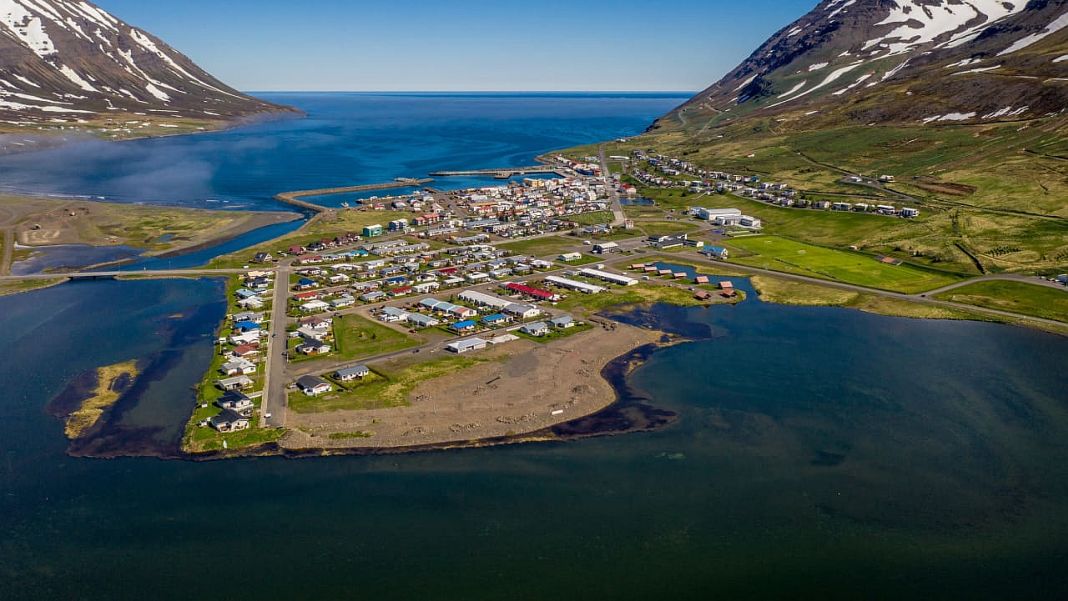 アイスランドのキャビアが XNUMX か月後に市場に出回る