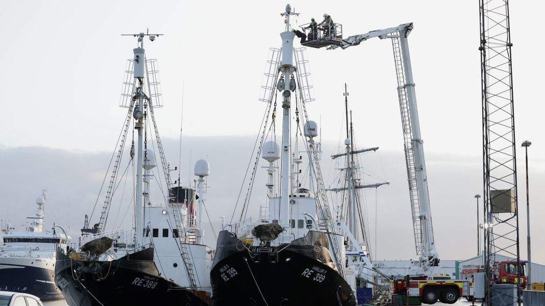Demonstranten campieren auf Walbooten im Hafen